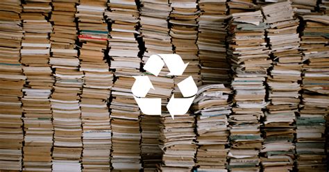 Can You Put Books in Recycling? A Look into the Matter